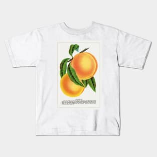 Champion Plum Lithograph (1900) Kids T-Shirt